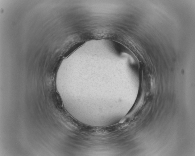 X0000089380601200707061141