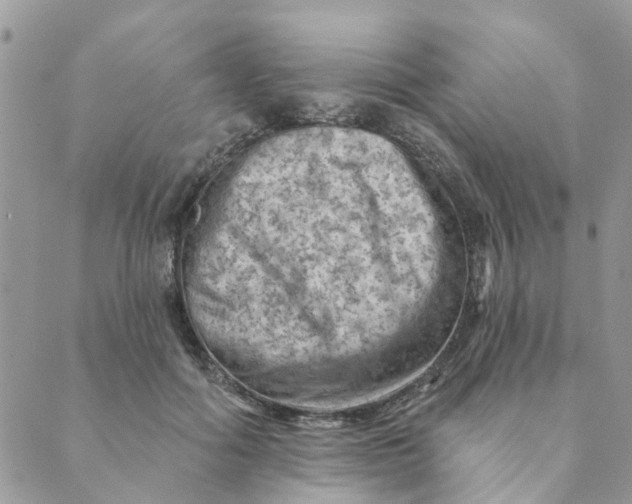 X0000089380602200707061141