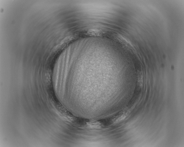 X0000089380603200707061141