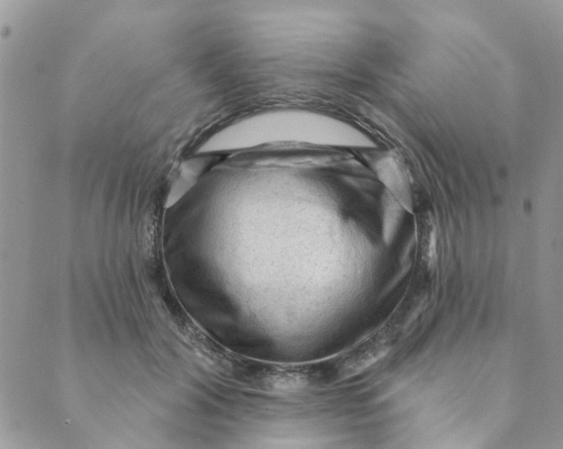 X0000089380604200707061141