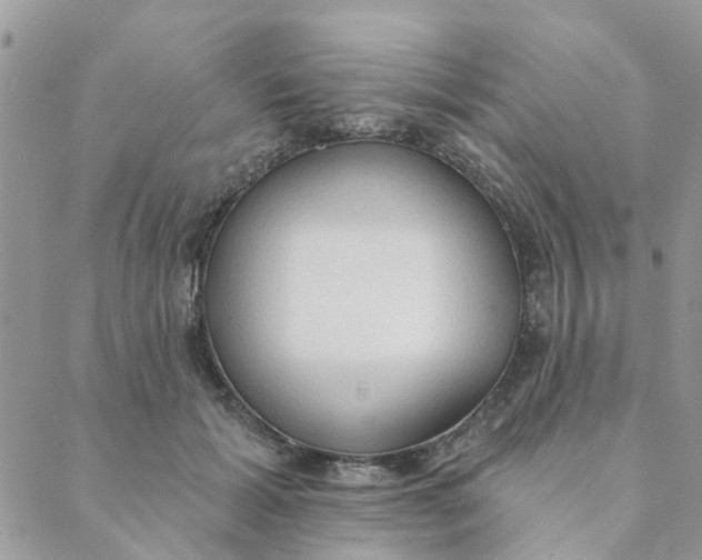 X0000089380605200707061141