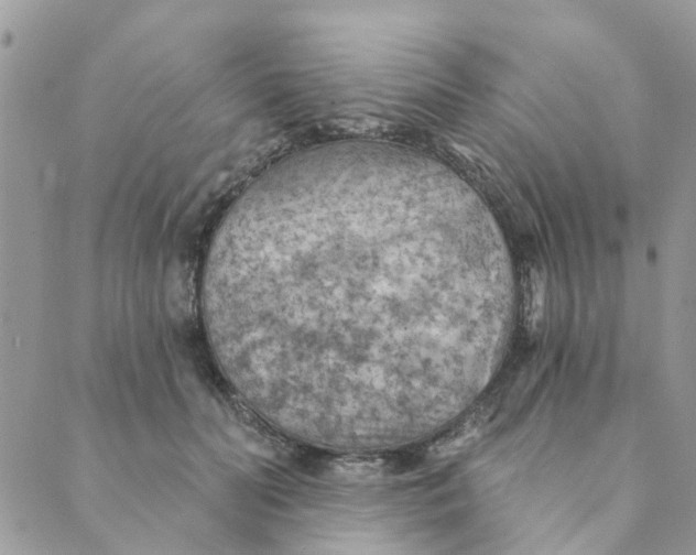 X0000089380606200707061141