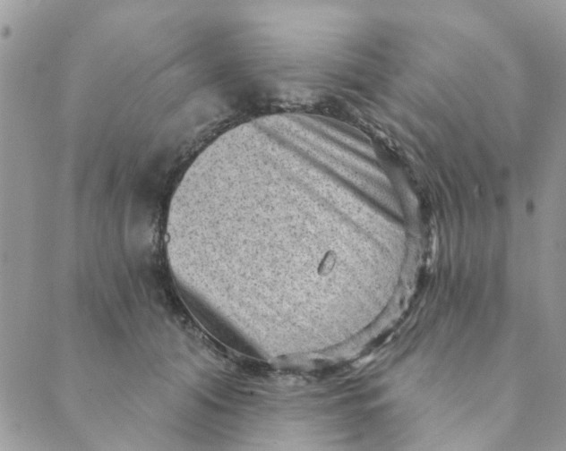 X0000089380608200707061141