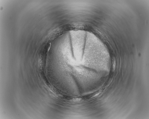 X0000089380609200707061141