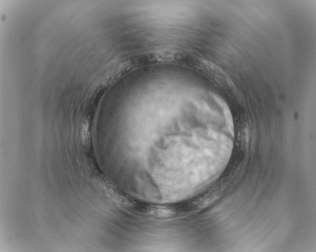 X0000089380610200707061141