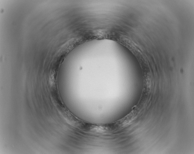 X0000089380611200707061141