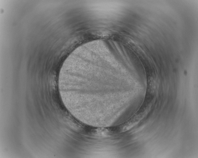 X0000089380612200707061141