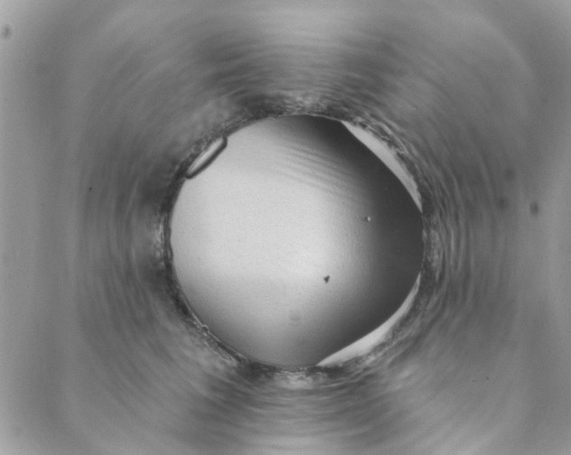 X0000089380613200707061141