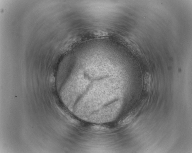 X0000089380614200707061141