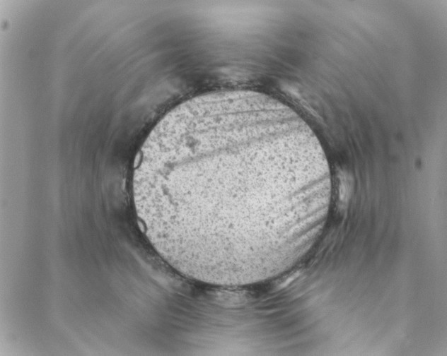 X0000089380615200707061140