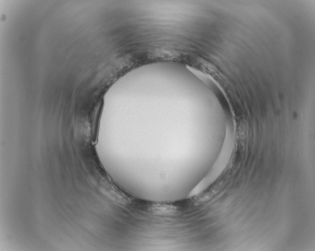 X0000089380617200707061140