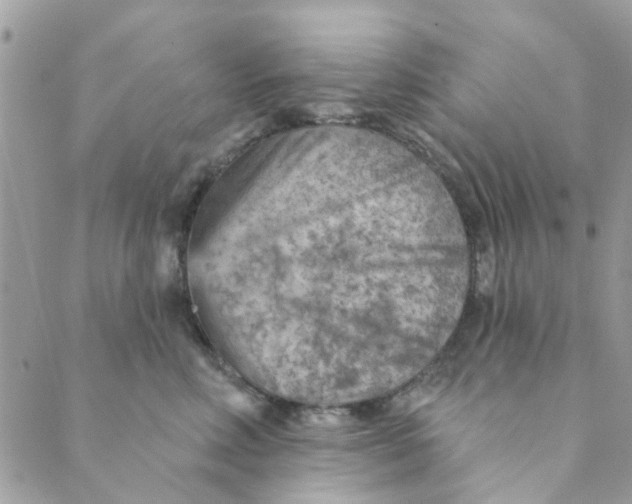 X0000089380618200707061140