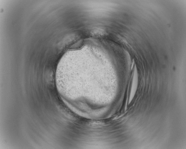 X0000089380619200707061140