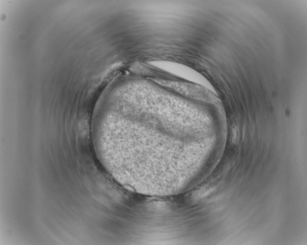 X0000089380620200707061140