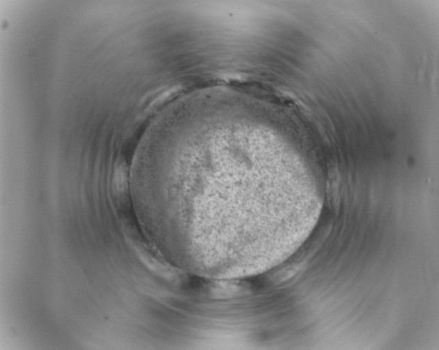 X0000089380623200707061140