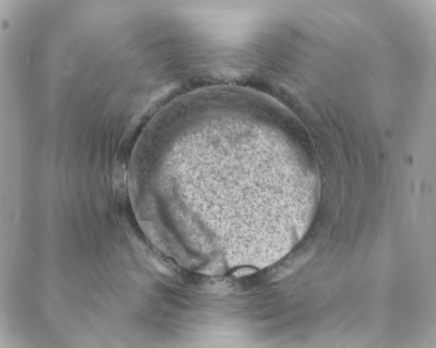 X0000089380624200707061140