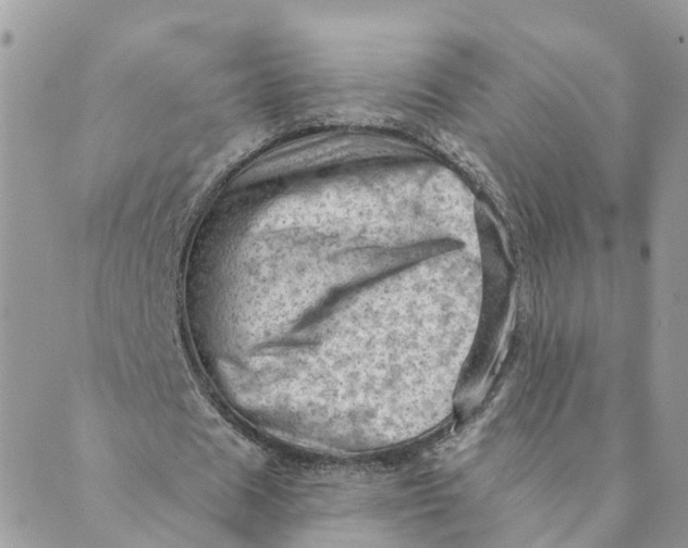 X0000089380625200707061140