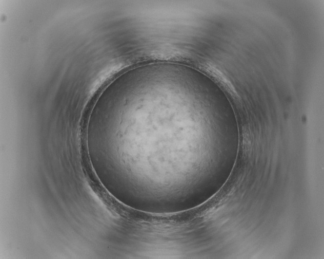 X0000089380626200707061140