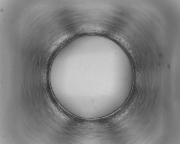 X0000089380629200707061140