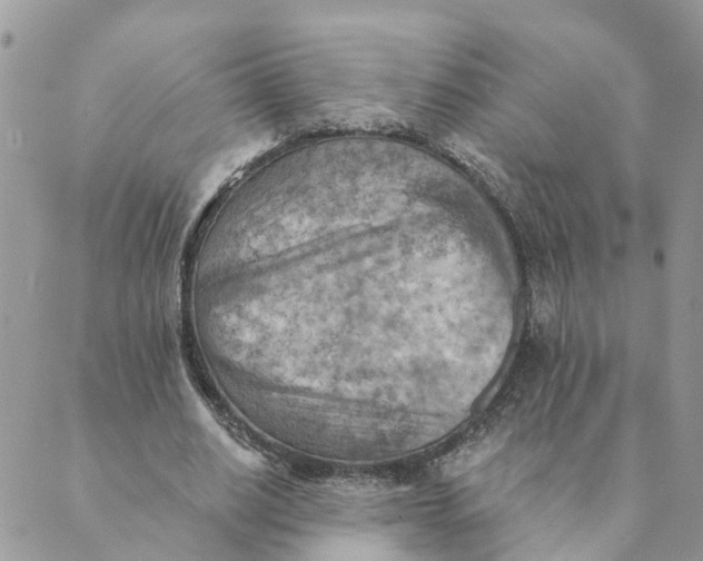 X0000089380630200707061140