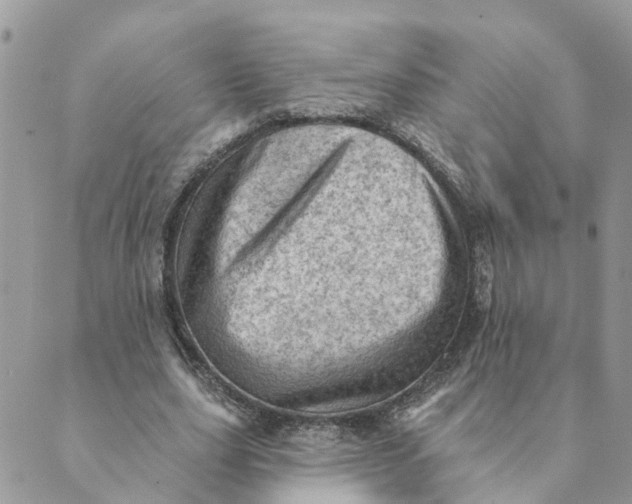 X0000089380631200707061140