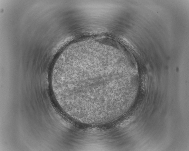 X0000089380634200707061140