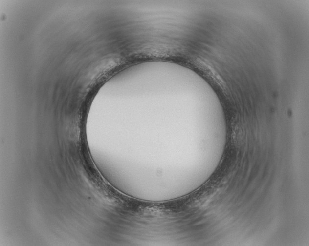 X0000089380635200707061140