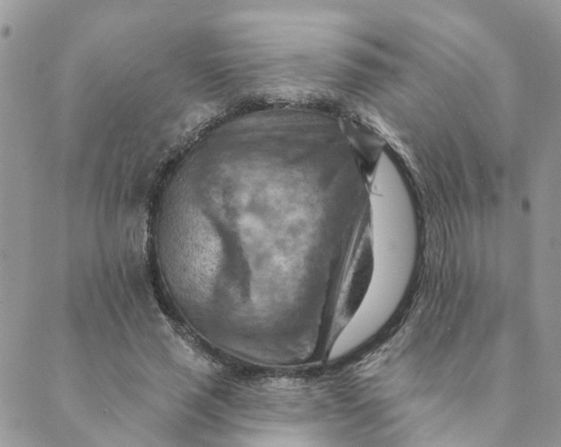 X0000089380637200707061140