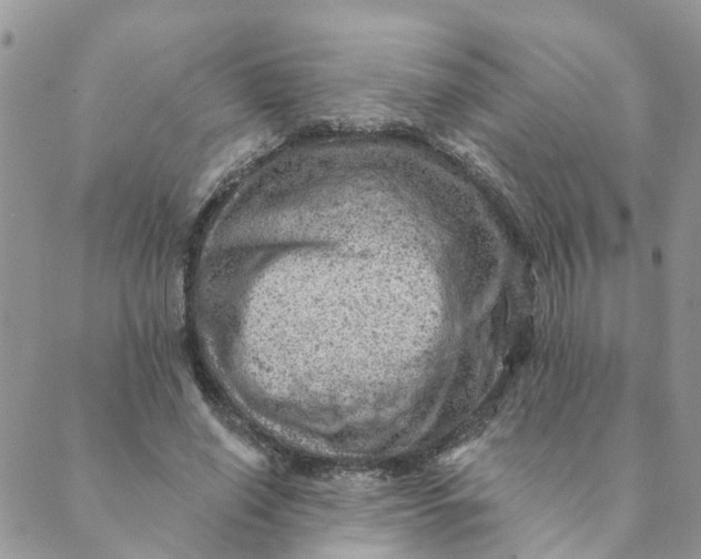 X0000089380638200707061140