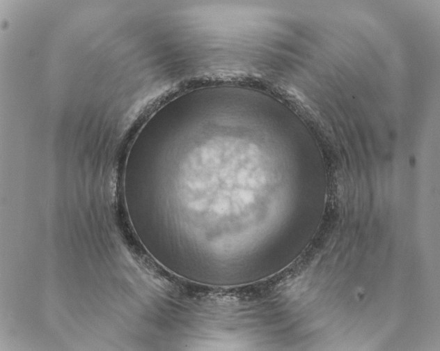 X0000089380640200707061140