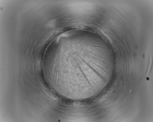 X0000089380641200707061140