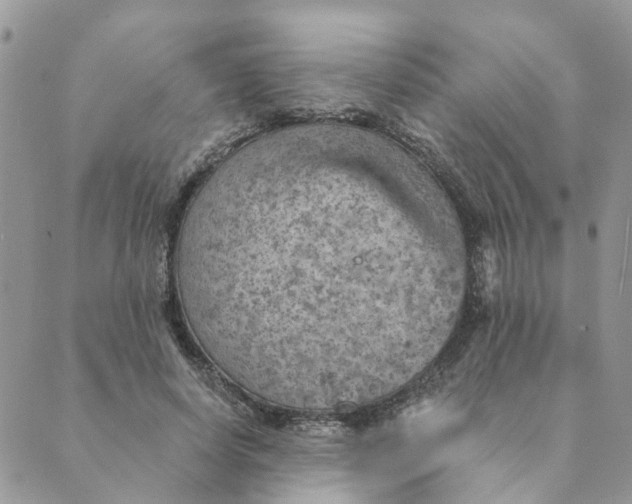 X0000089380642200707061140