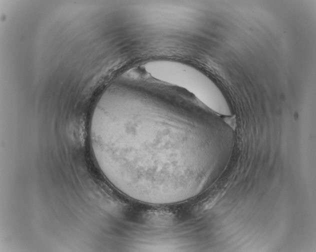 X0000089380644200707061140