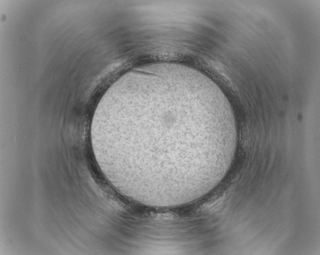 X0000089380645200707061140