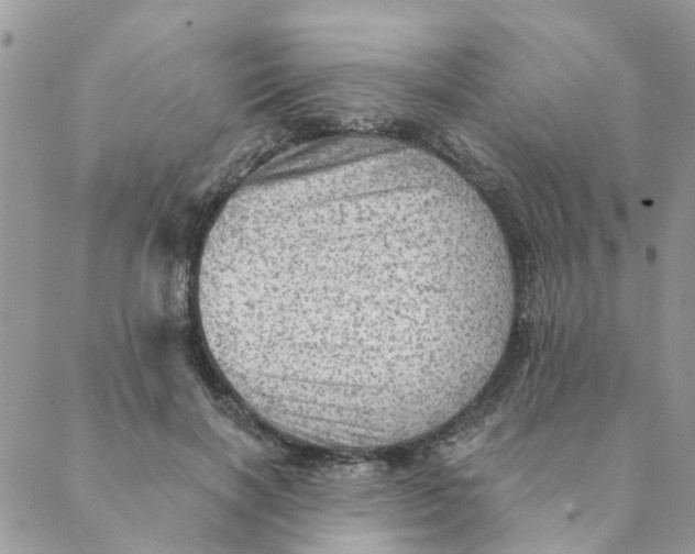 X0000089380646200707061140