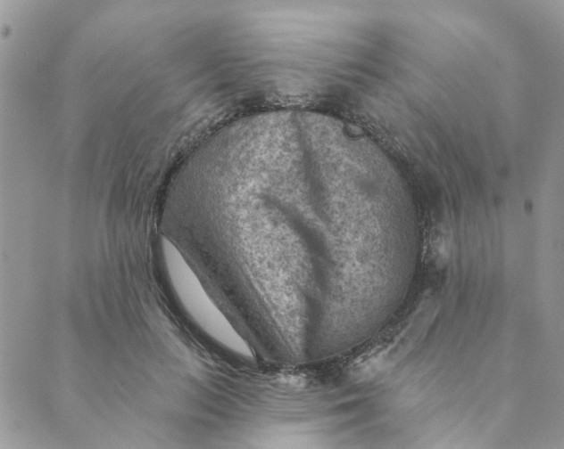 X0000089380647200707061140