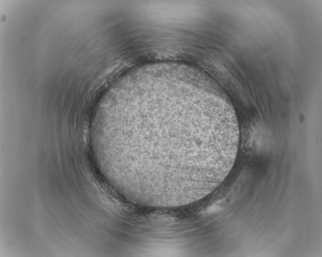 X0000089380648200707061140