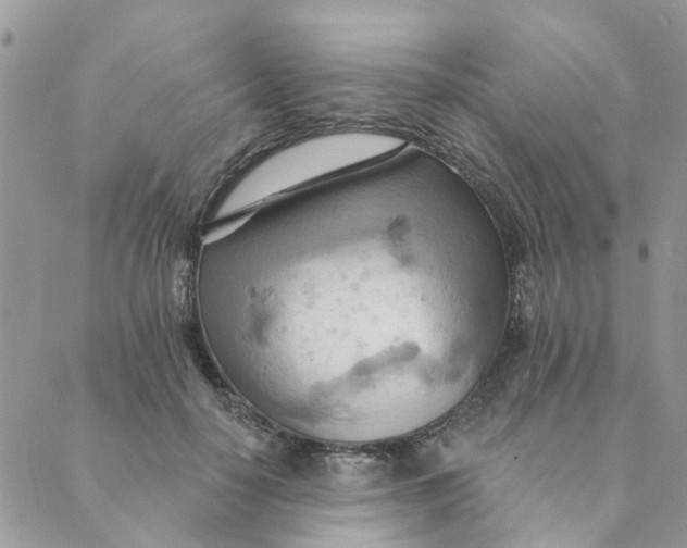 X0000089380650200707061140