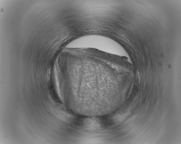 X0000089380652200707061140