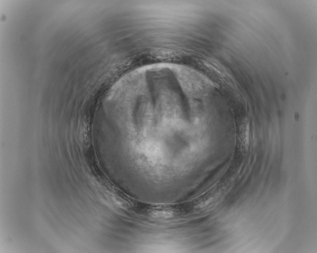 X0000089380653200707061140