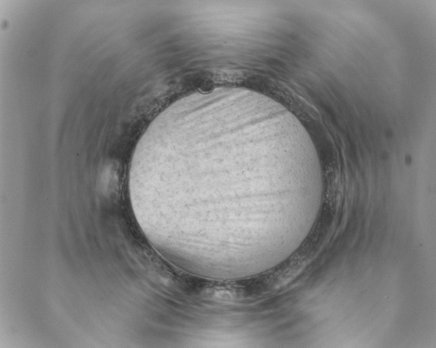 X0000089380655200707061140