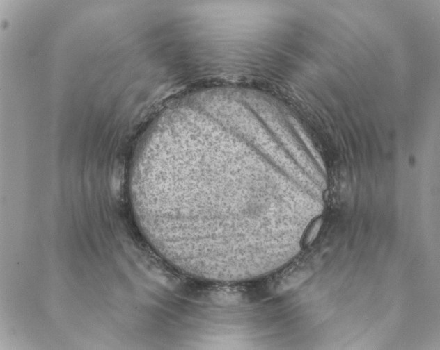 X0000089380656200707061140