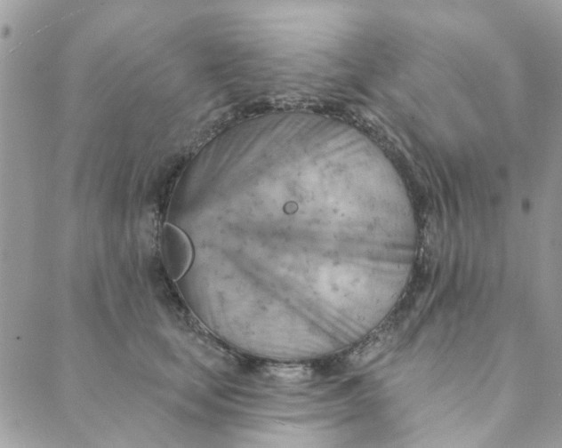 X0000089380659200707061140