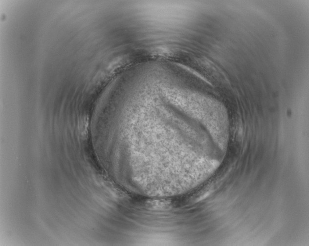 X0000089380660200707061140