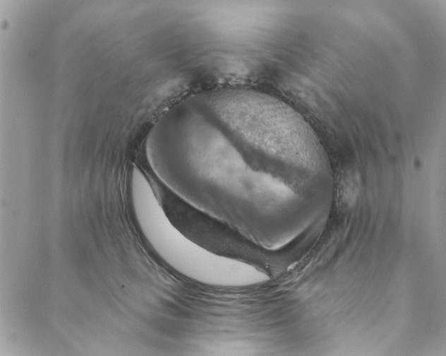 X0000089380661200707061140