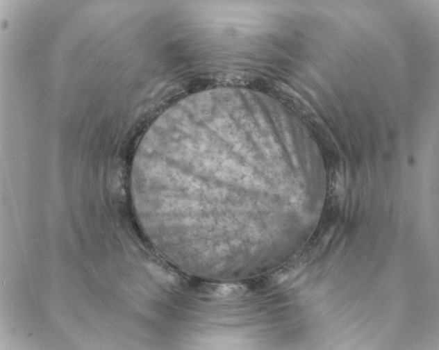 X0000089380663200707061140