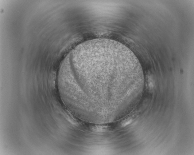 X0000089380664200707061140