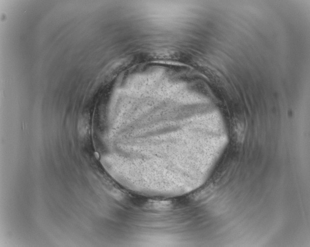 X0000089380665200707061140