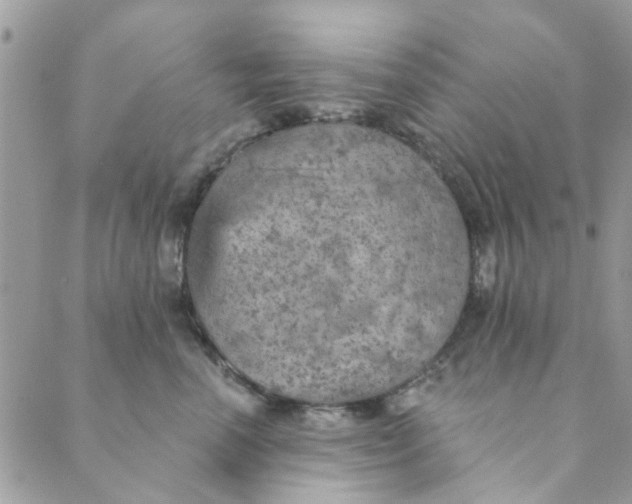 X0000089380666200707061140