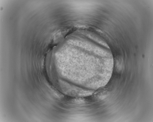 X0000089380668200707061140